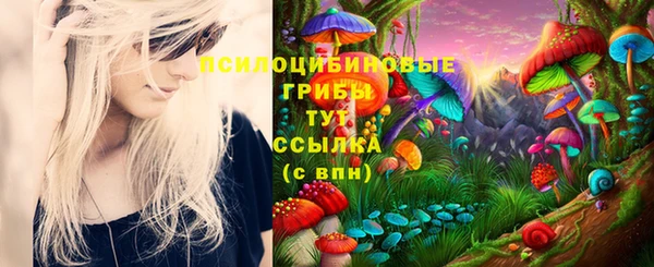 ешки Богданович