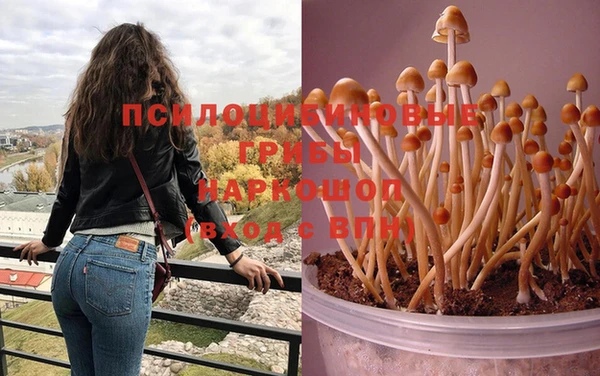 ECSTASY Бугульма