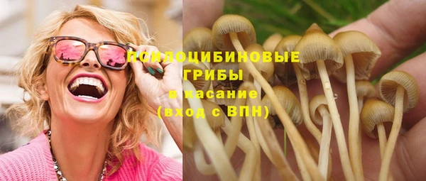 МДМА Богородицк