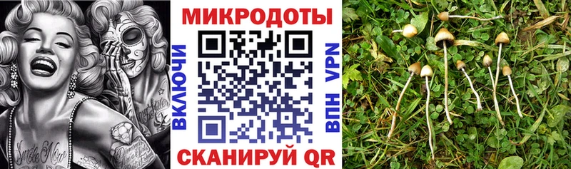 Галлюциногенные грибы мухоморы  где можно купить наркотик  Нерехта 
